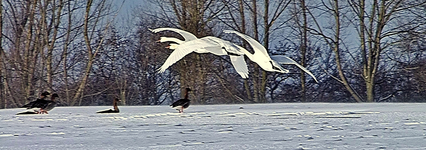 Vorbeiflug  -  flyby