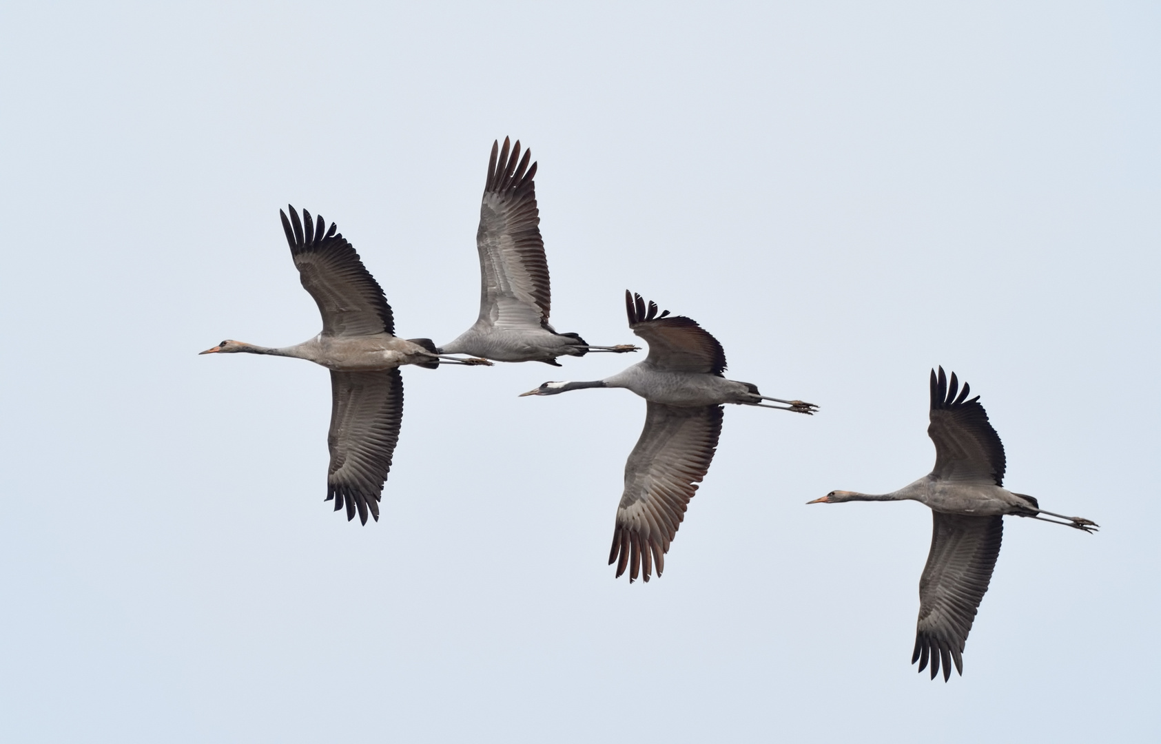 Vorbeiflug II