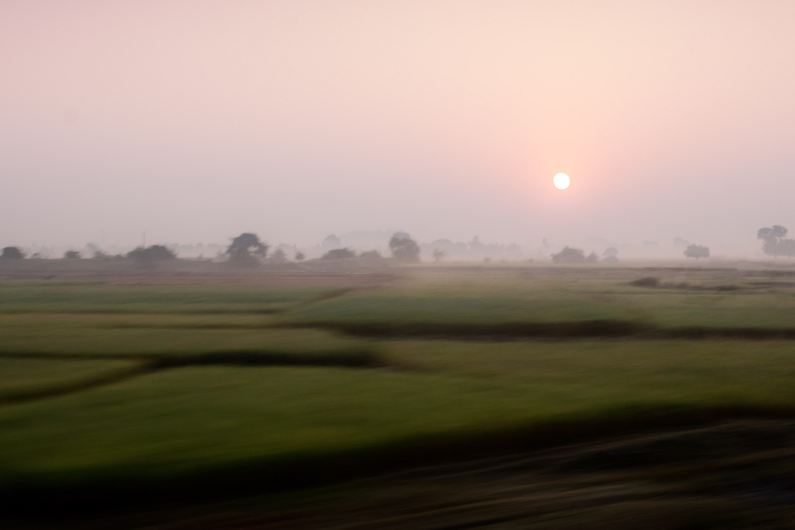 vorbeiziehende Felder in Indien