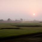 vorbeiziehende Felder in Indien