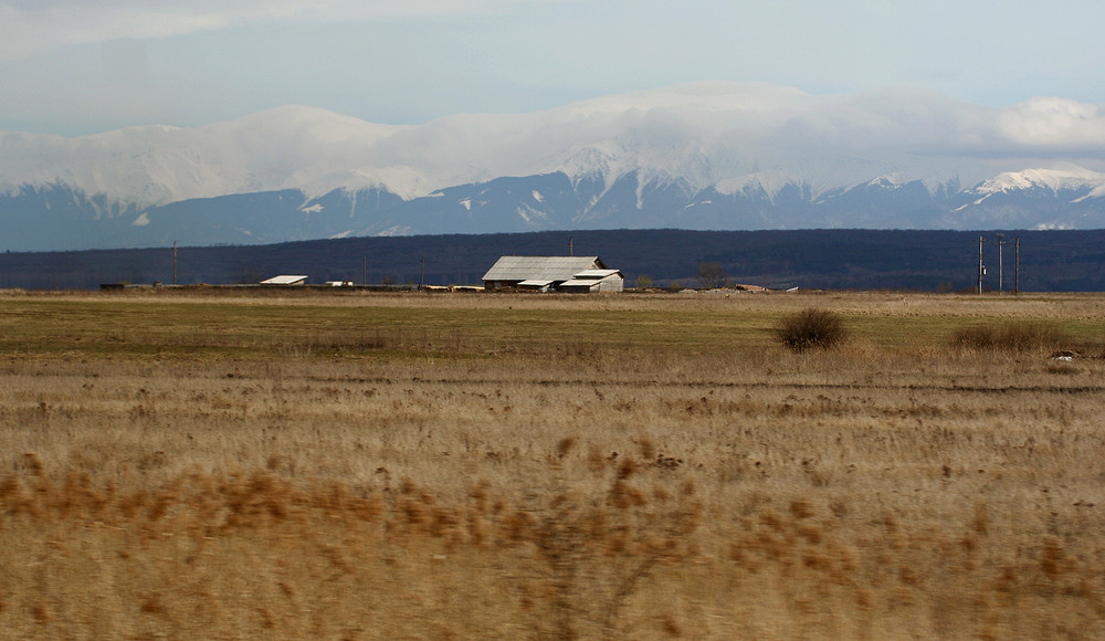 vorbeiziehende Landschaft