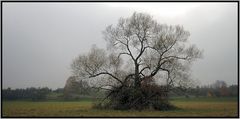 Vorbereitet auf den nächsten Winter