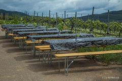 Vorbereitete SItzplätze für Weingenießer beim Birkweiler Weinfrühling