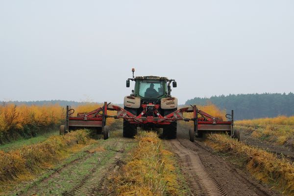 Vorbereitung auf den Winter