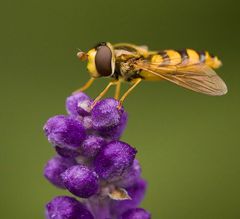 Vorbereitung zum Start