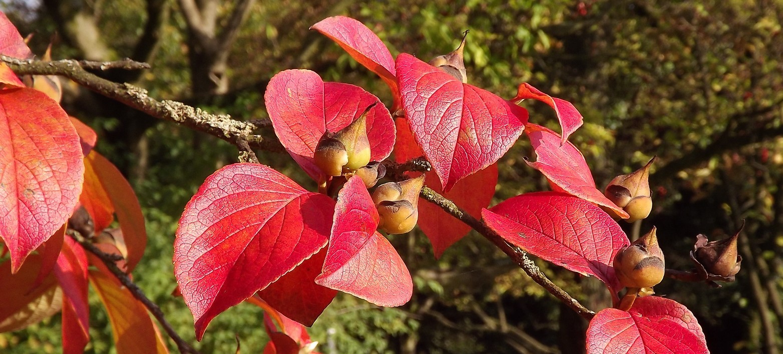 Vorbereitungen für den Frühling