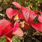 Vorbereitungen für den Frühling