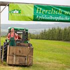 Vorbereitungen zum Apfelernte-Picknick 2012