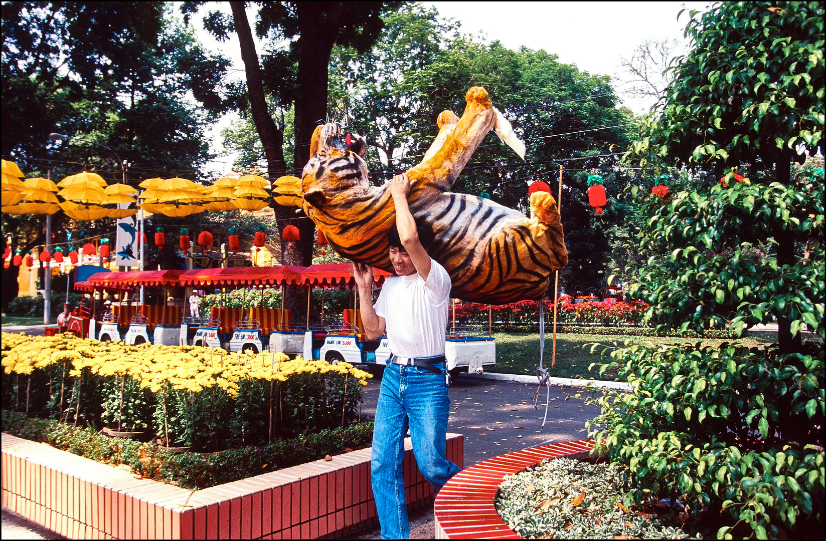 Vorbereitungen zum Tet-Fest. Geschulterter Tiger.