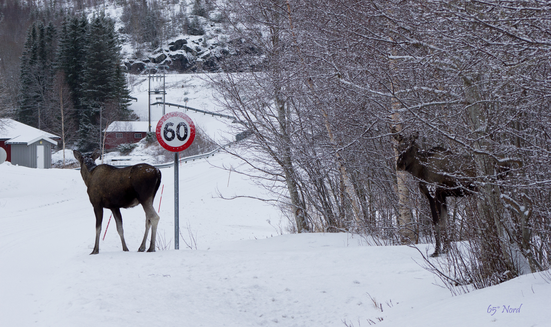 Vorbildliches Verhalten im Strassenverkehr