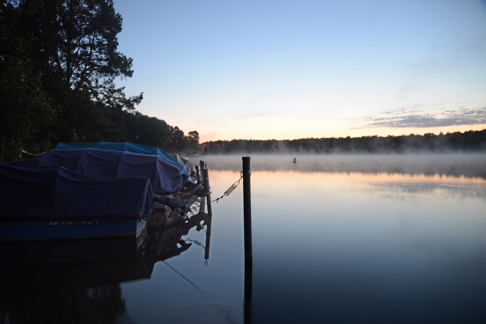 Vorboten am Schmöldesee