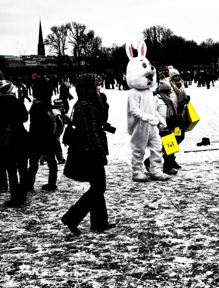 Vorboten des Frühlings...