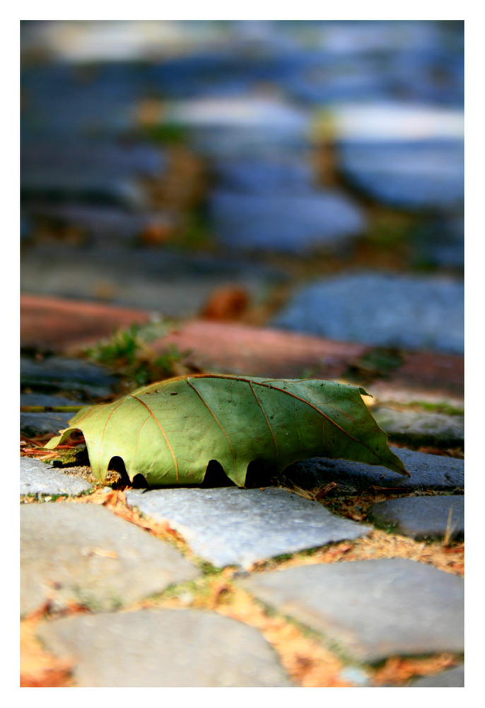 Vorboten des Herbst