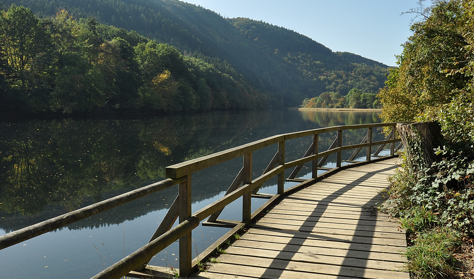 Vorboten des Herbstes