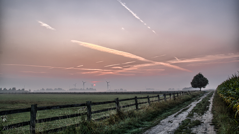 Vorboten des Herbstes