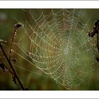 Vorboten des Herbstes