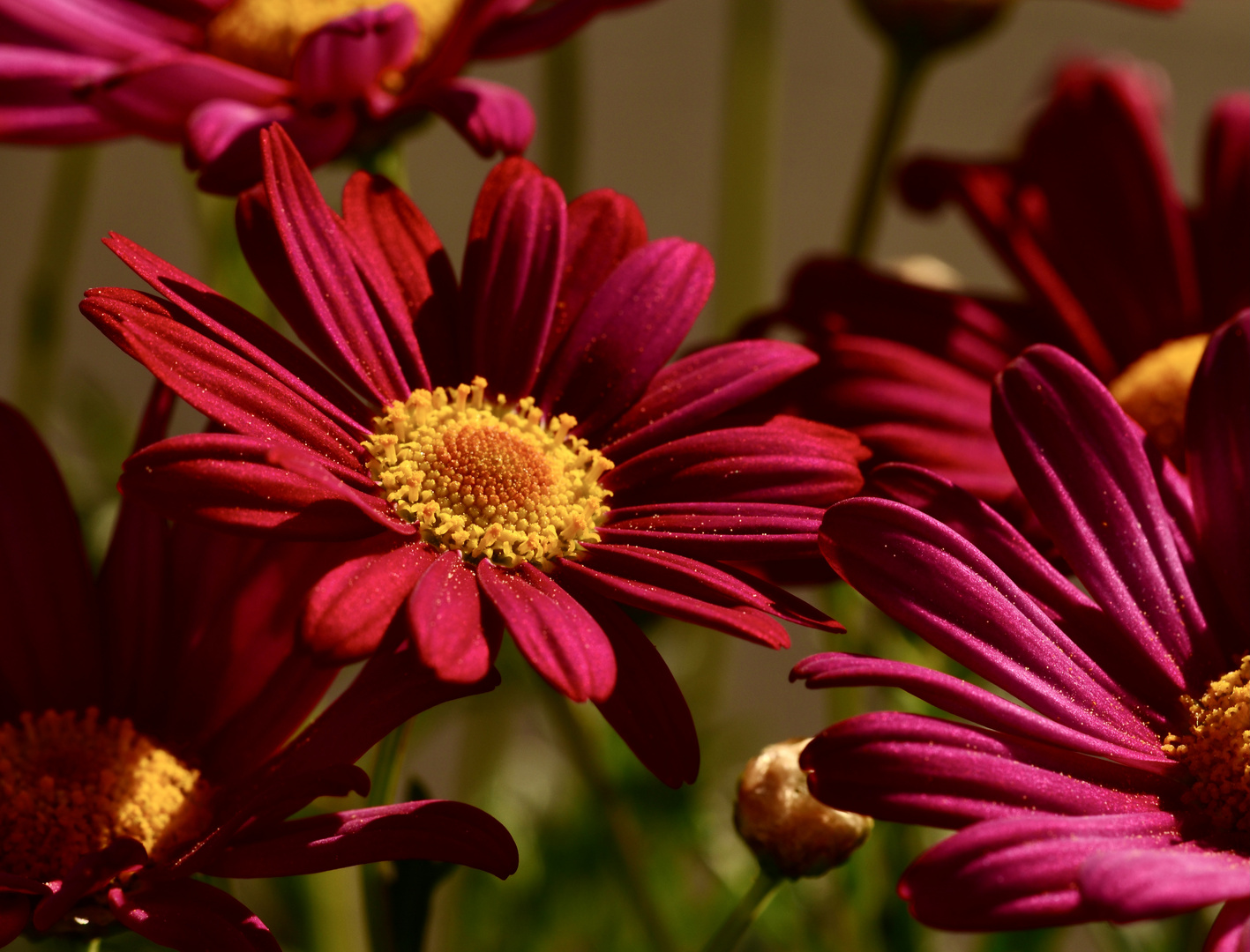 Vorboten des Herbstes