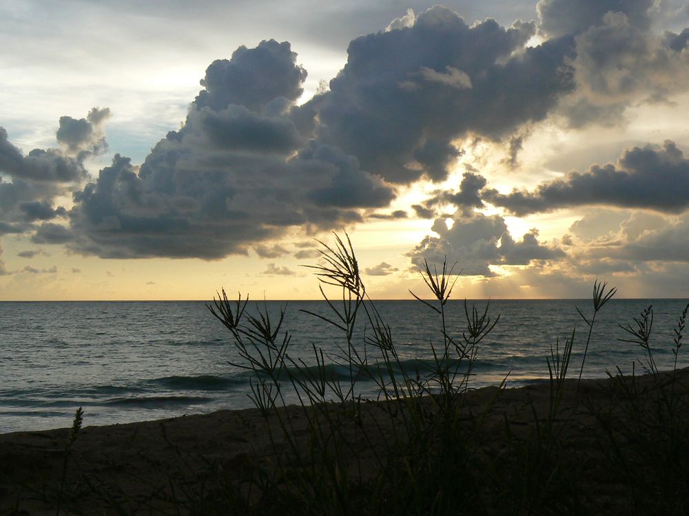 Vorboten des Monsun