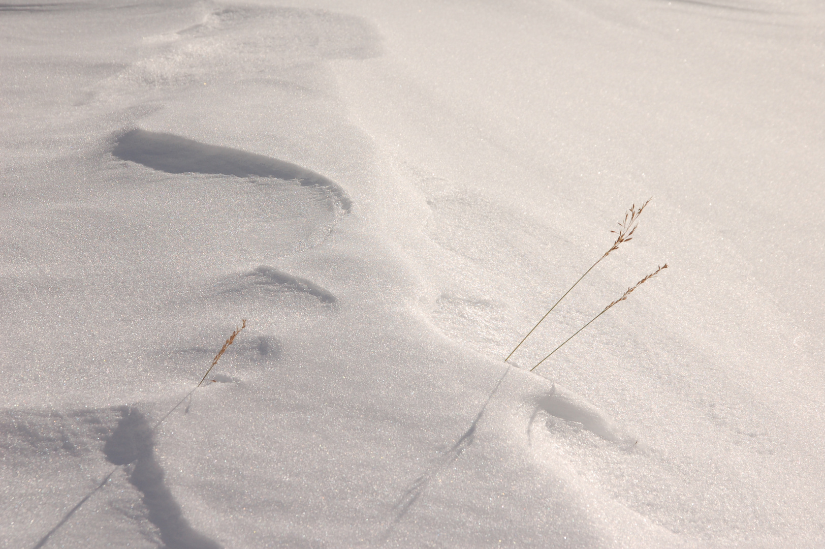 Vorboten des Winters