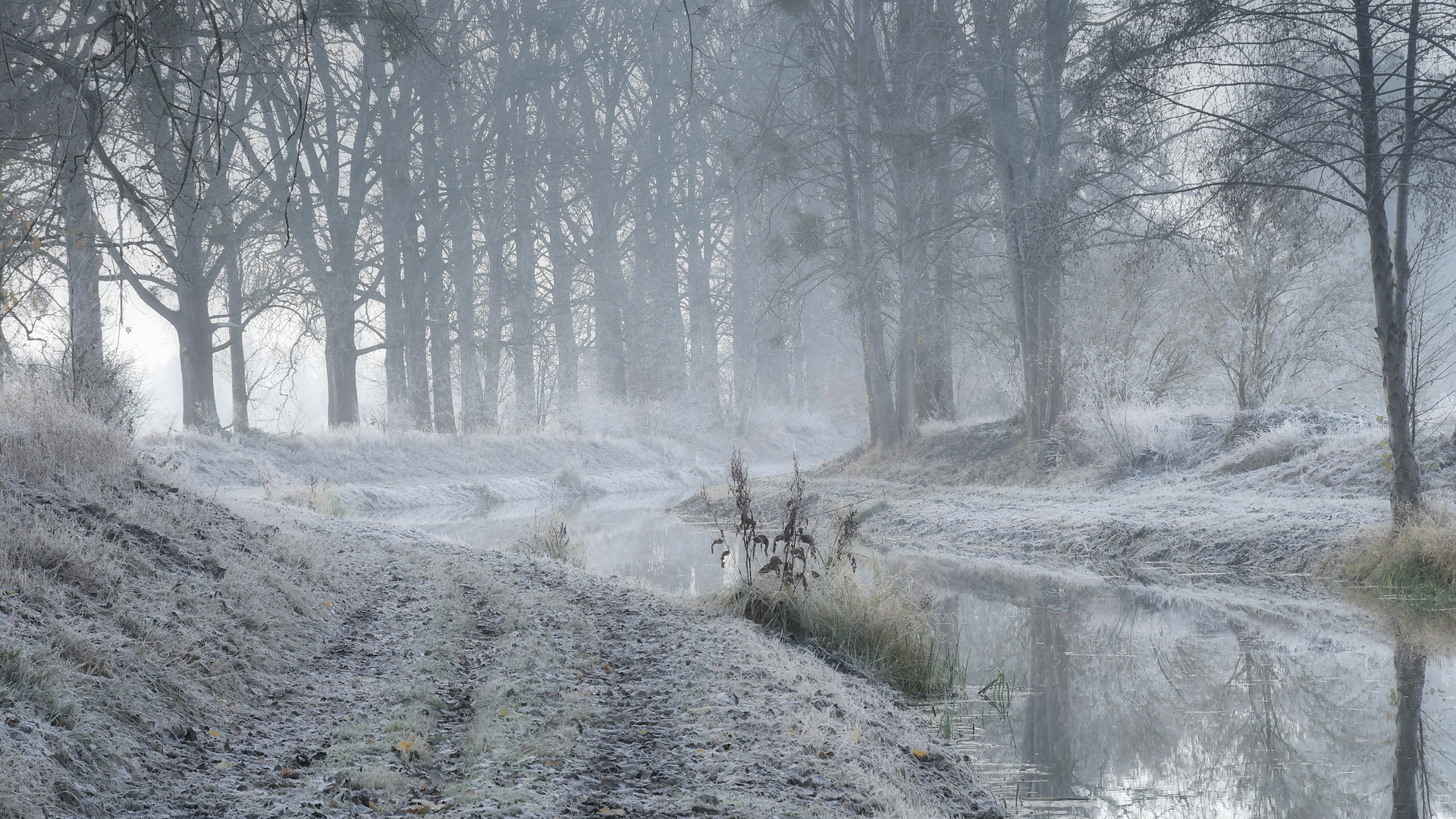 Vorboten  des Winters