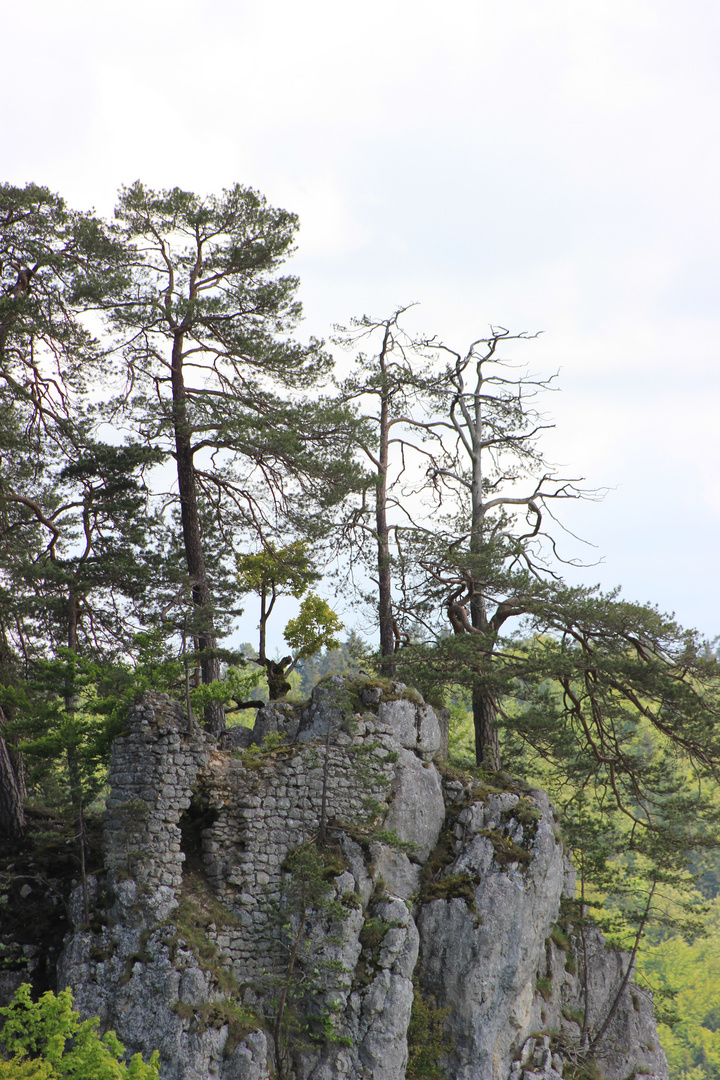 Vorburg der Ruine Falkenstein