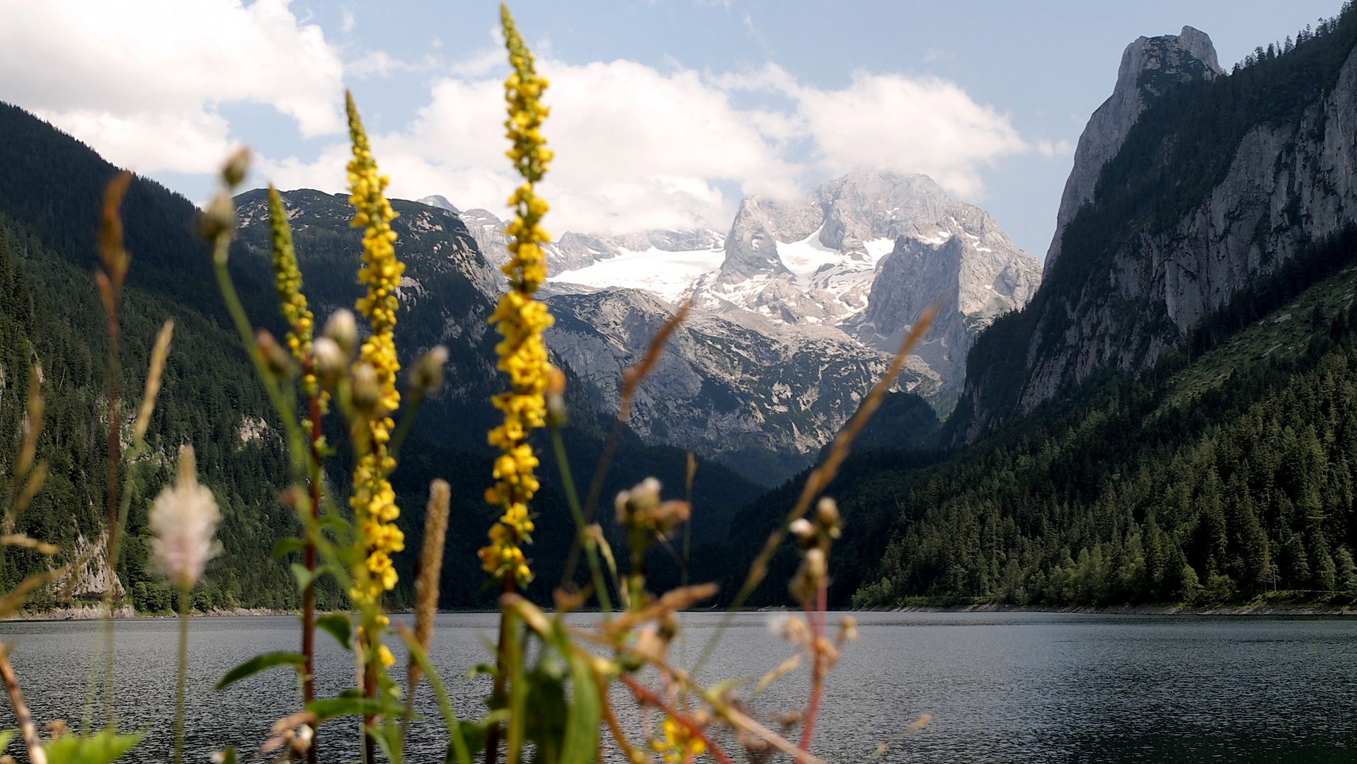 Vord. Gosausee, Blick zum Dachsteinmasiv