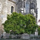 - vor.dem.AACHENER.DOM - 