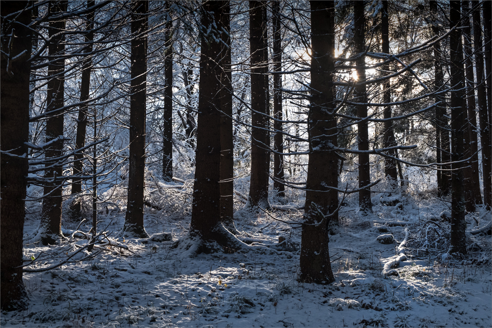 /// Vor.dem.großen.Schneefall... ///