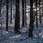 /// Vor.dem.großen.Schneefall... ///