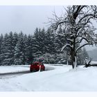 Vorderbüchelberg, Winterlandschaft