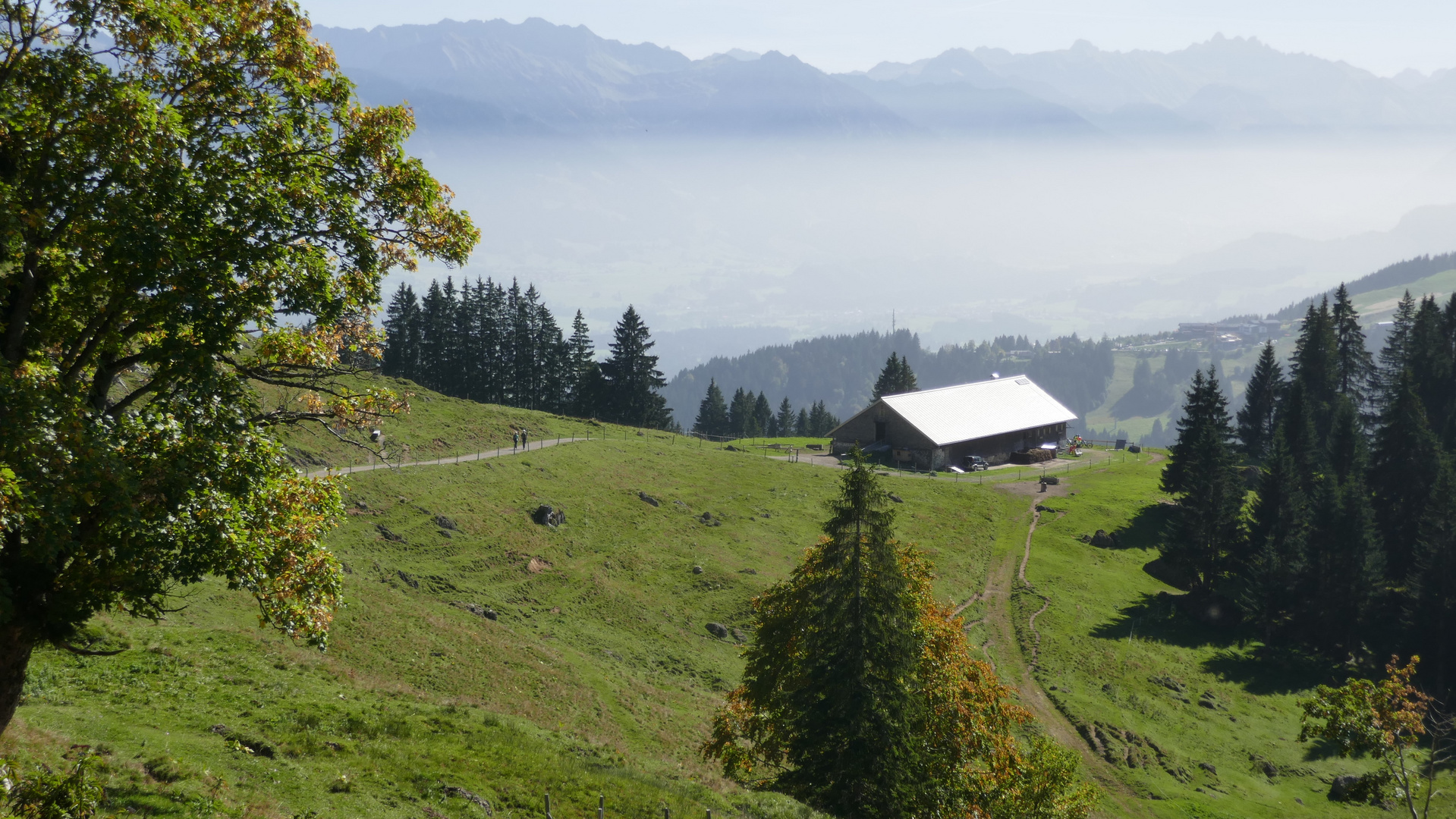 Vordere Krumbach Alpe ...