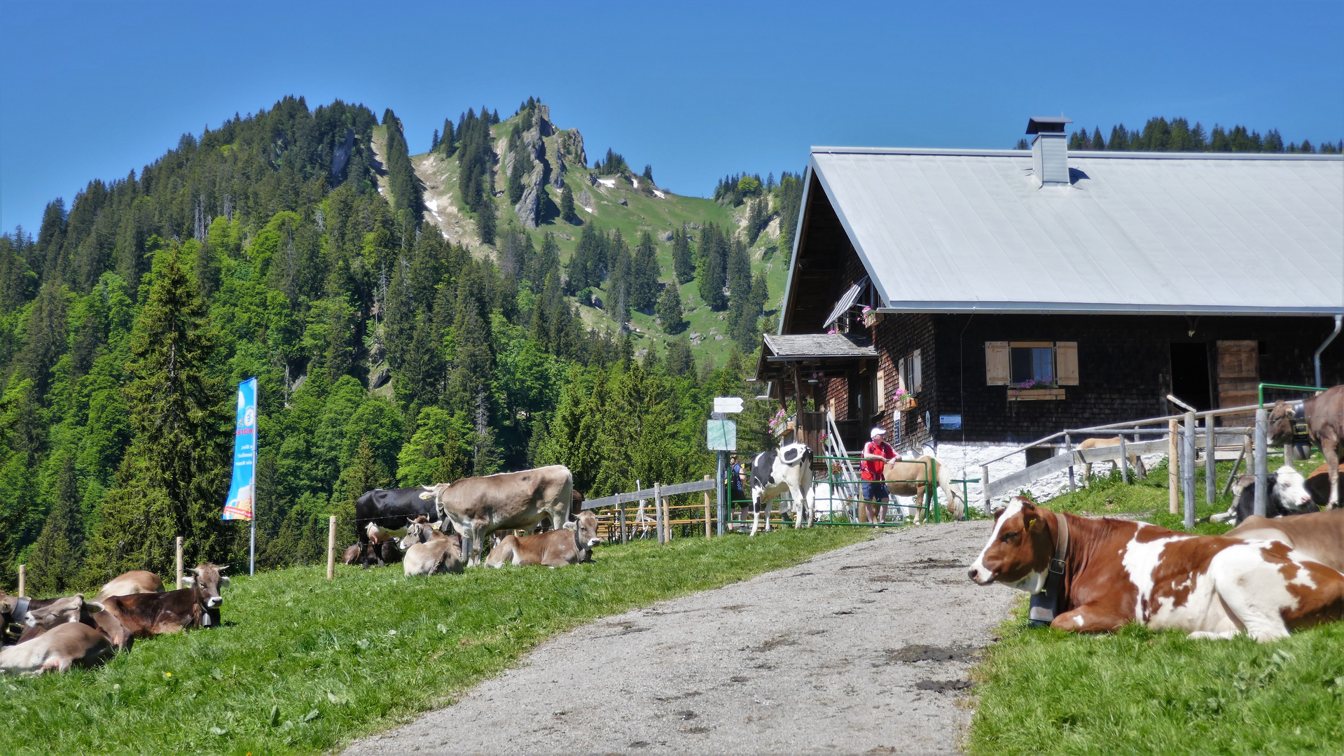 Vordere Krumbach Alpe mit Steineberg