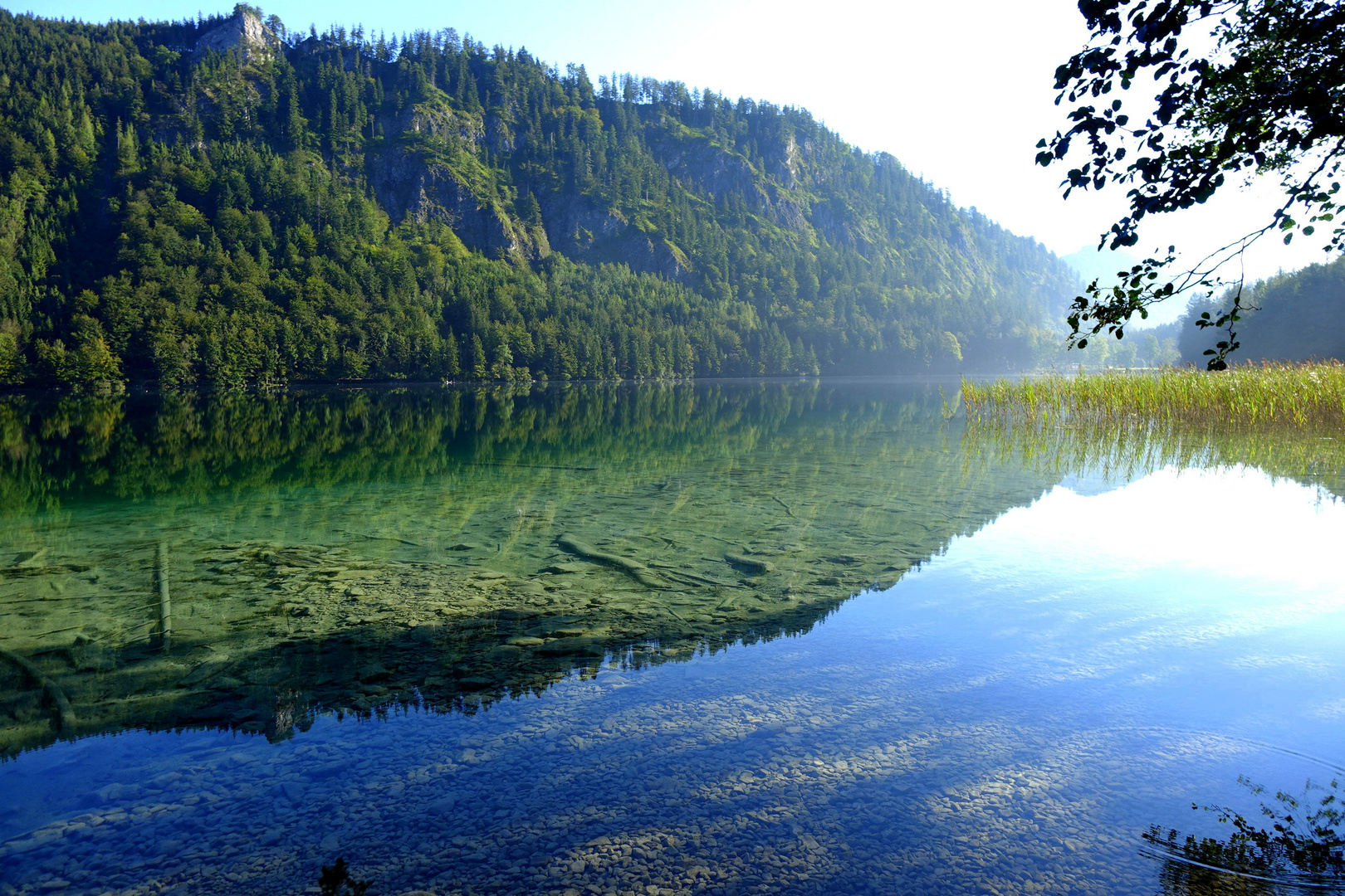 vorderer Langbathsee - Südufer