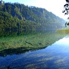 vorderer Langbathsee - Südufer