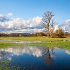 Vorderpfälzer Seen-Platte