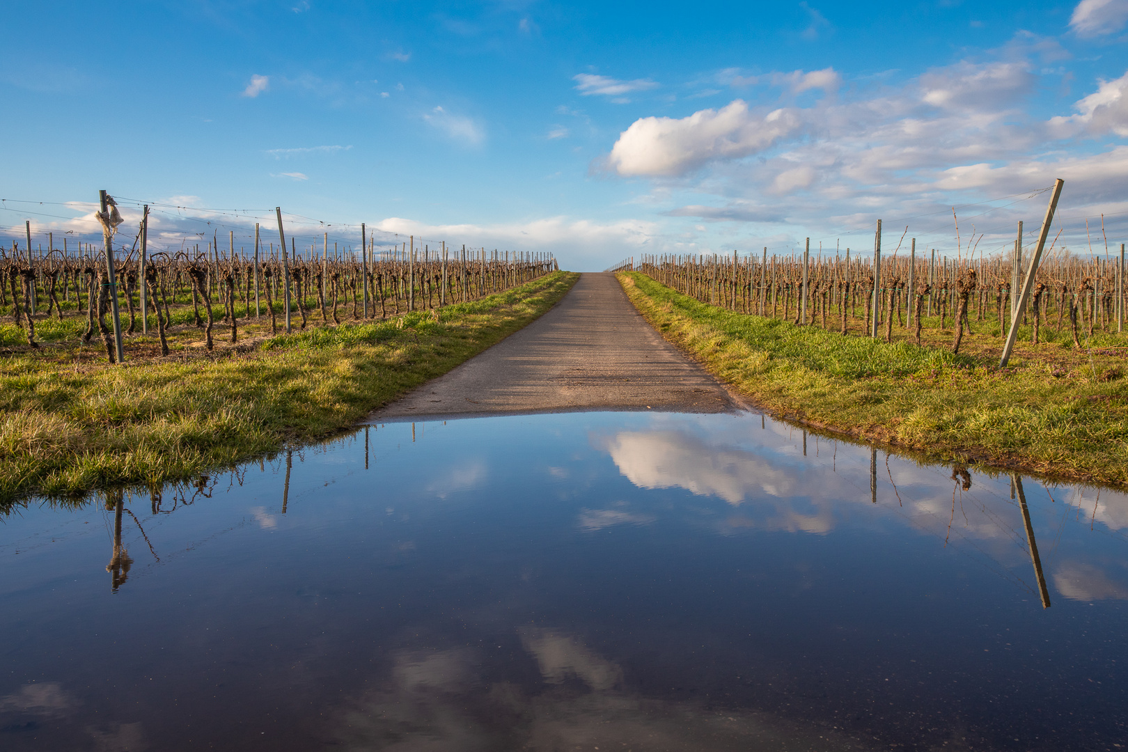 Vorderpfälzische Seenplatte