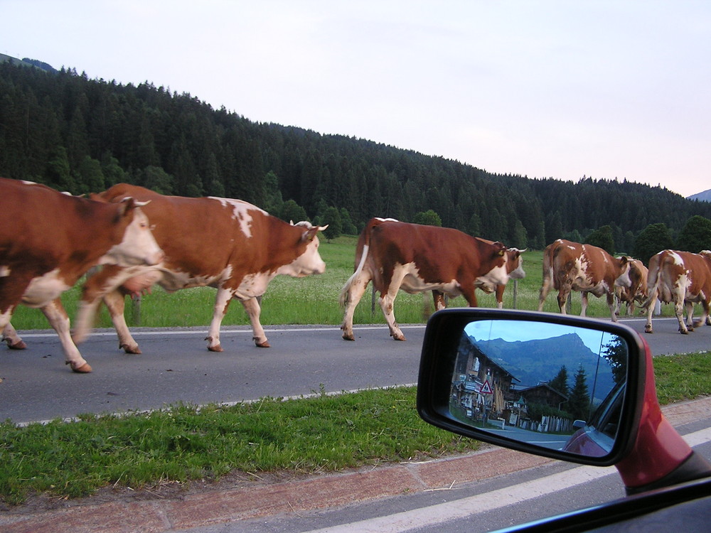 Vorfahrt achten!