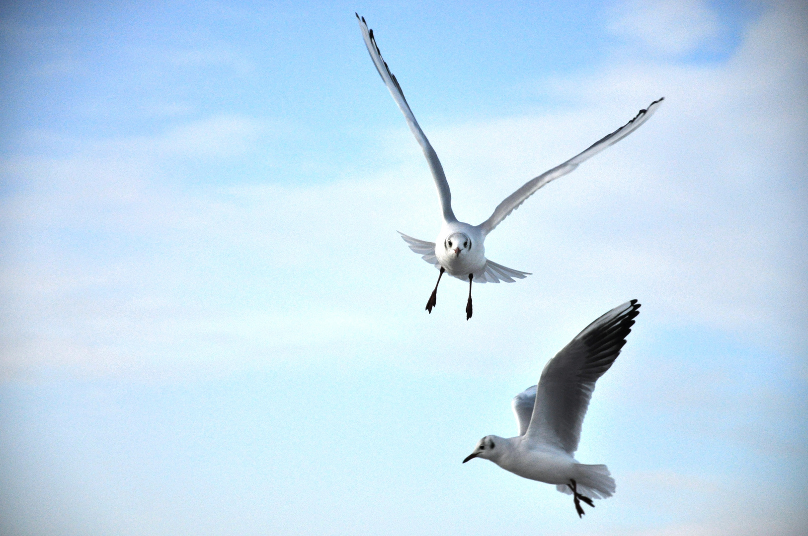 Vorfahrt am Himmel