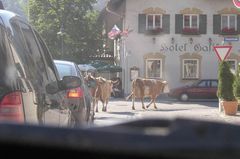 Vorfahrt beachten!!!!