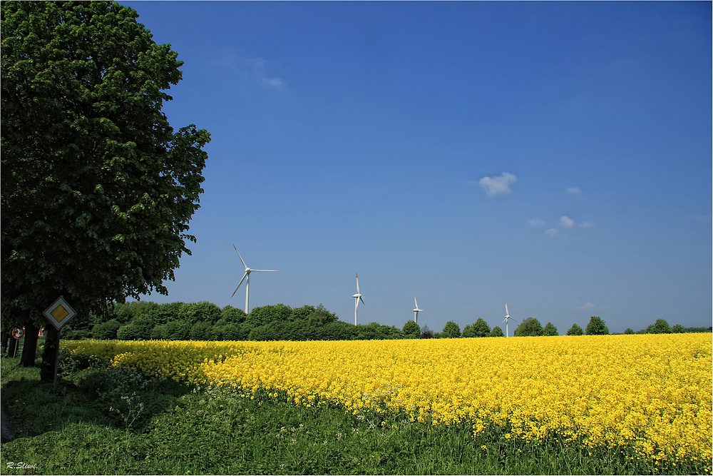 Vorfahrt  für die alternativen Energien