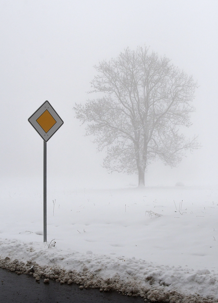 Vorfahrt: Für die Natur oder Autos?