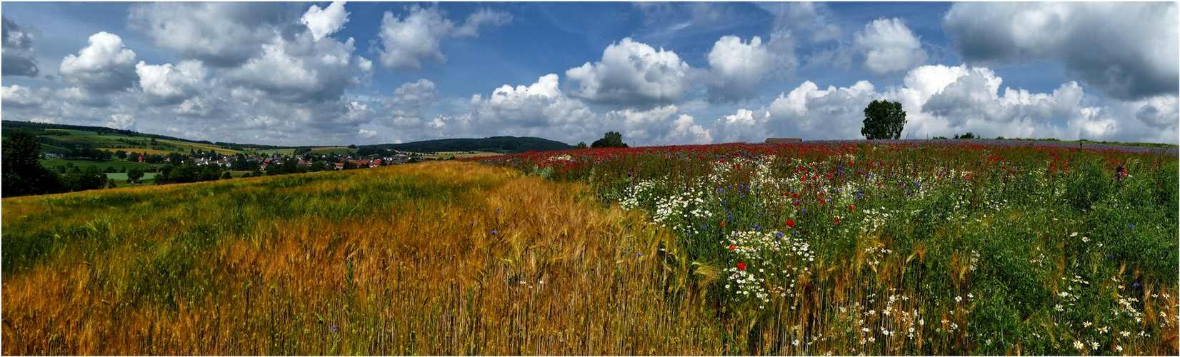 Vorfreude (2) ...