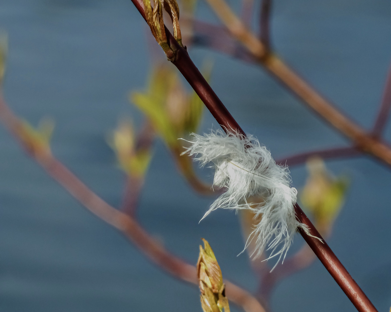 Vorfreude!…