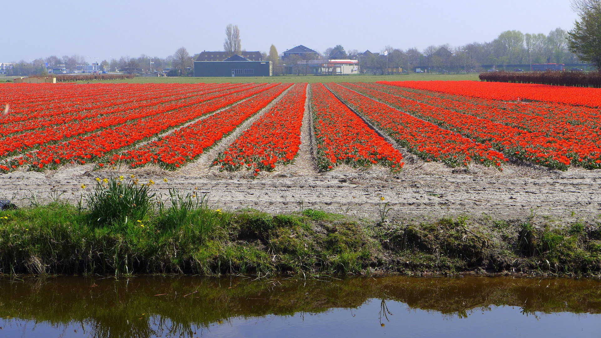 Vorfreude auf das Frühjahr