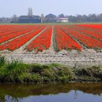 Vorfreude auf das Frühjahr