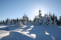 Vorfreude auf den doch noch kommenden Winter