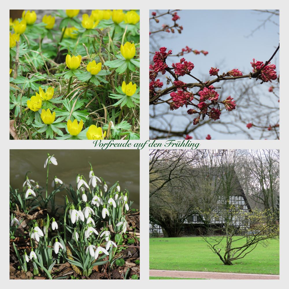 Vorfreude auf den Frühling