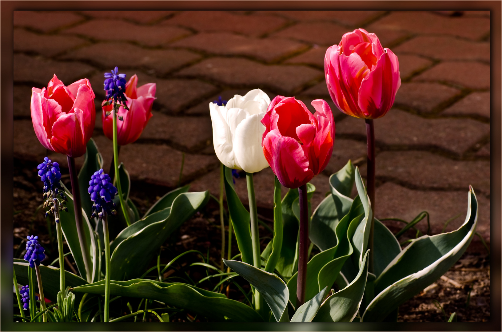 Vorfreude auf den Frühling