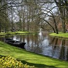 Vorfreude auf den Frühling !