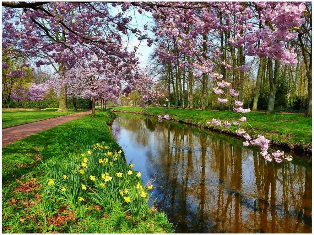 Vorfreude auf den Frühling !